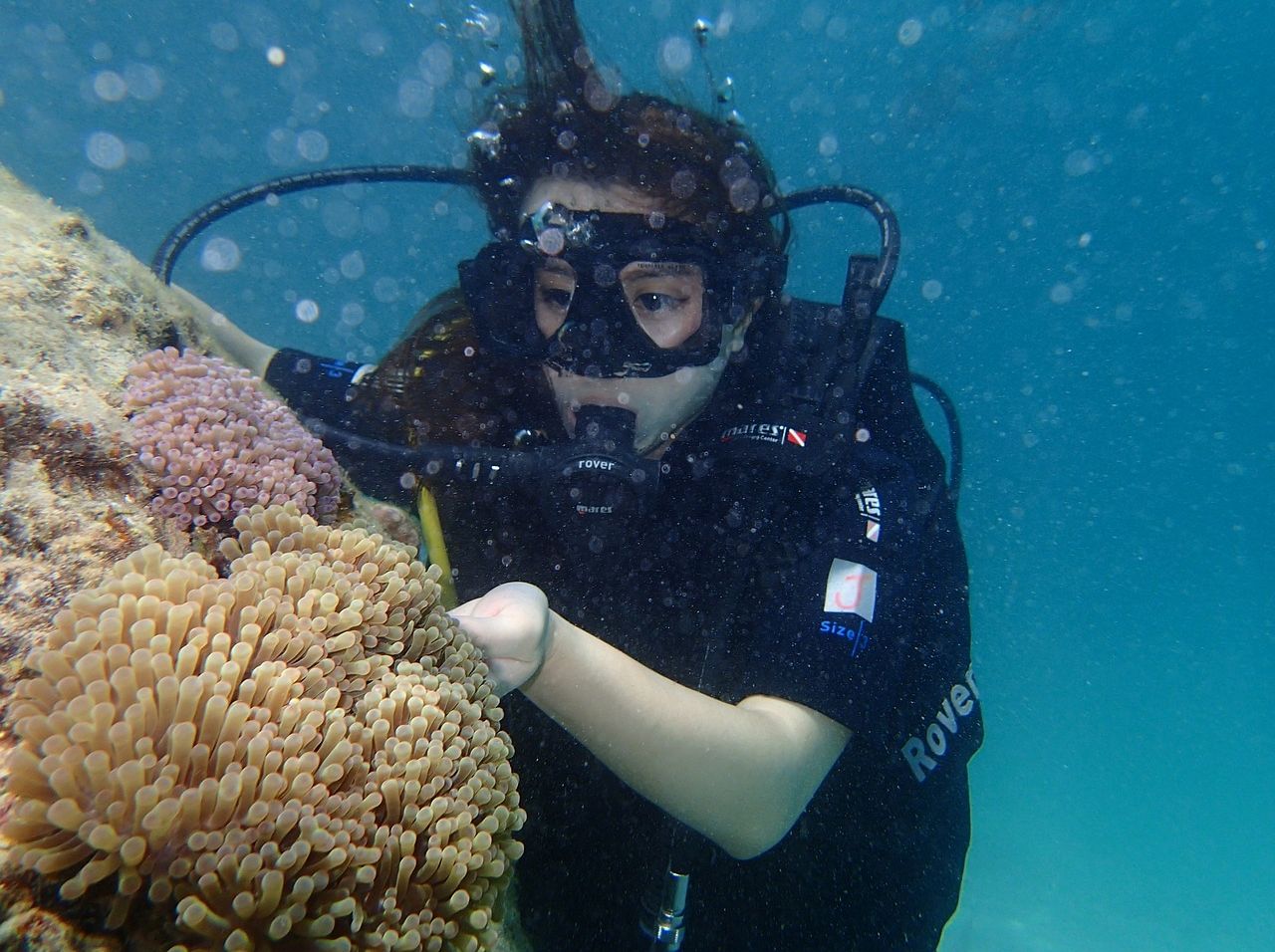 Best Diving Spots in Malaysia