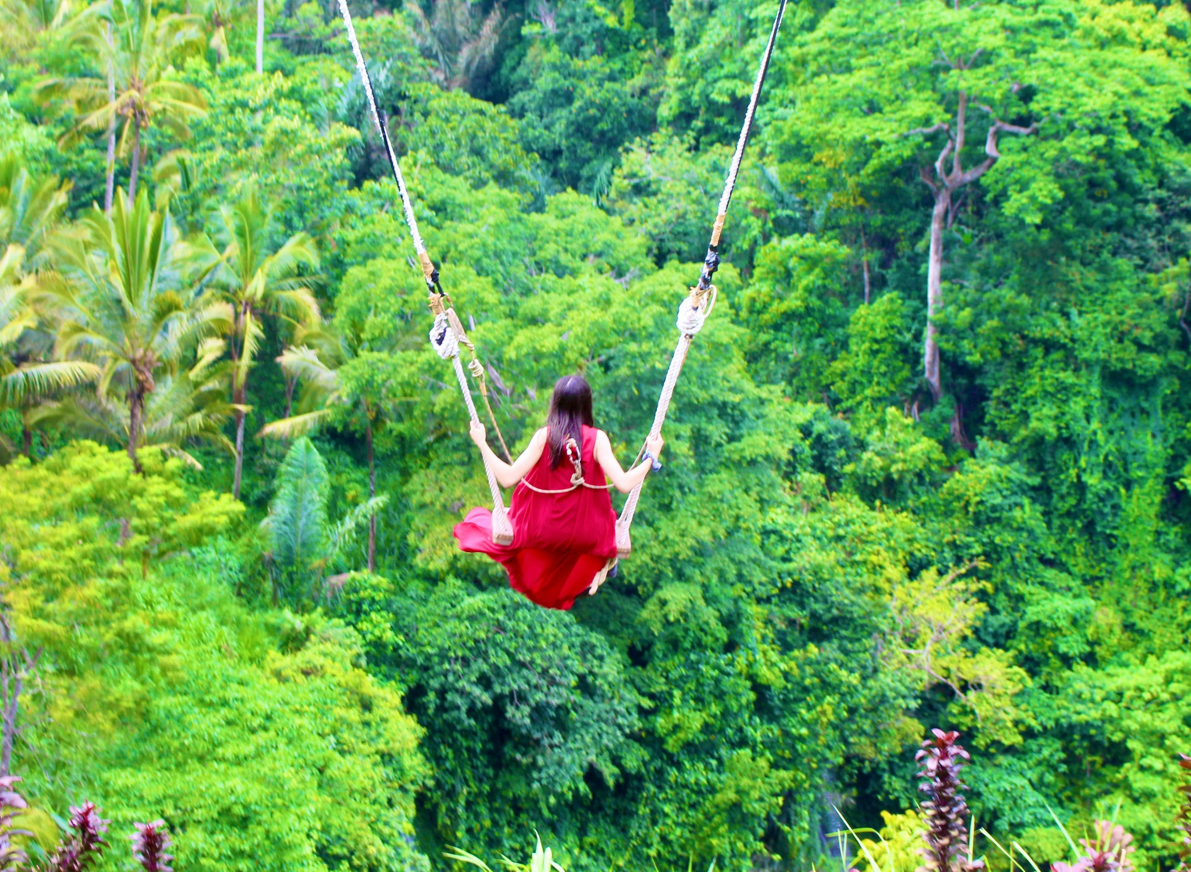 Embrace sustainability with Bali's top eco-tour options. Plan your trip today!