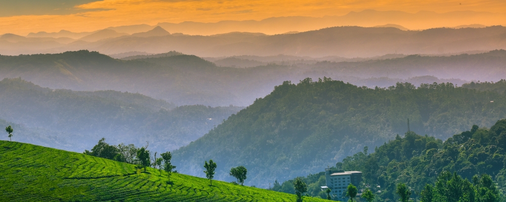 Munnar - A beautiful hill station in Kerala 