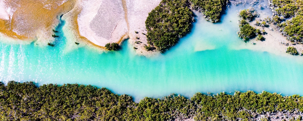 New Zealand, the island country