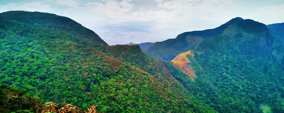 Kandy, Nuwara Eliya, Bentota, Colombo