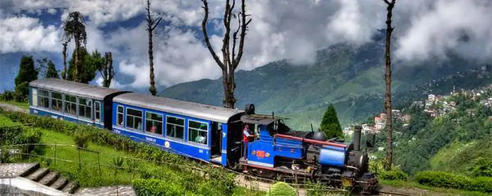 Darjeeling Whirlwind Tour