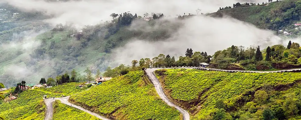 Darjeeling Mirik Tour 3N 4D 