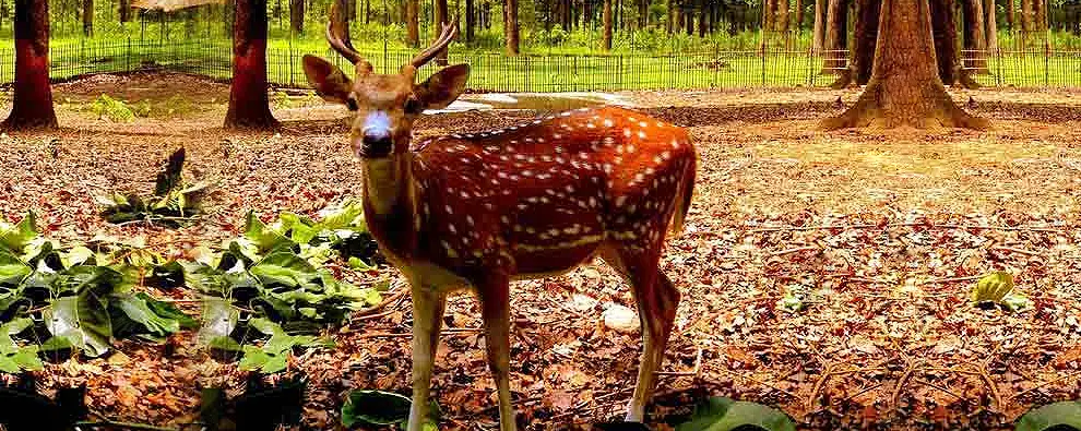 Port Blair , Havelock Island, Neil Island