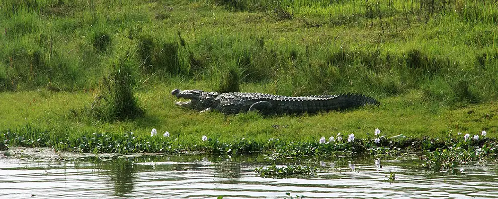 Kathmandu - Chitwan - Pokhara - Nagarkot