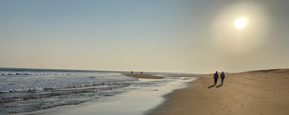 Puri - The Land of Jagannatha 