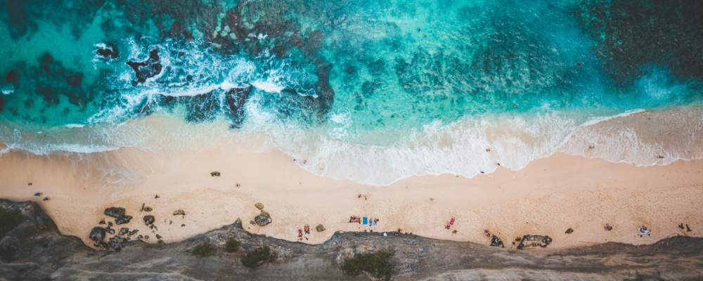 The invisible divider between Bali and Lombok (Indonesia) which mysteriously separates living species