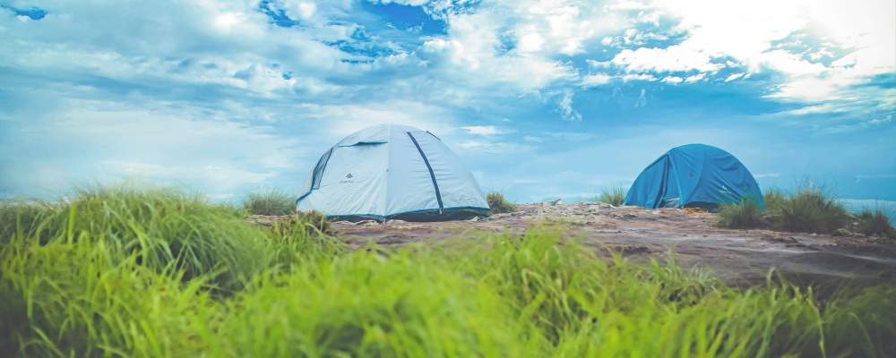 Wayanad – The perfect summer escape